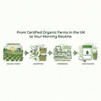 CognoGreens Organic Supergreens Powder