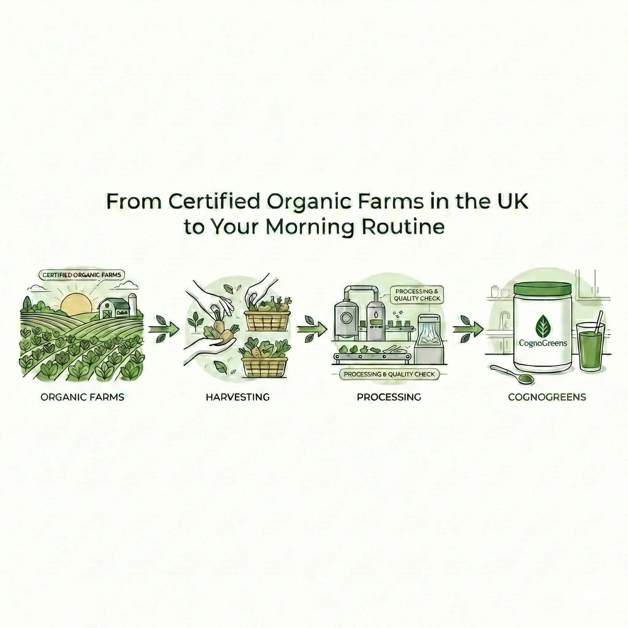 CognoGreens Organic Supergreens Powder